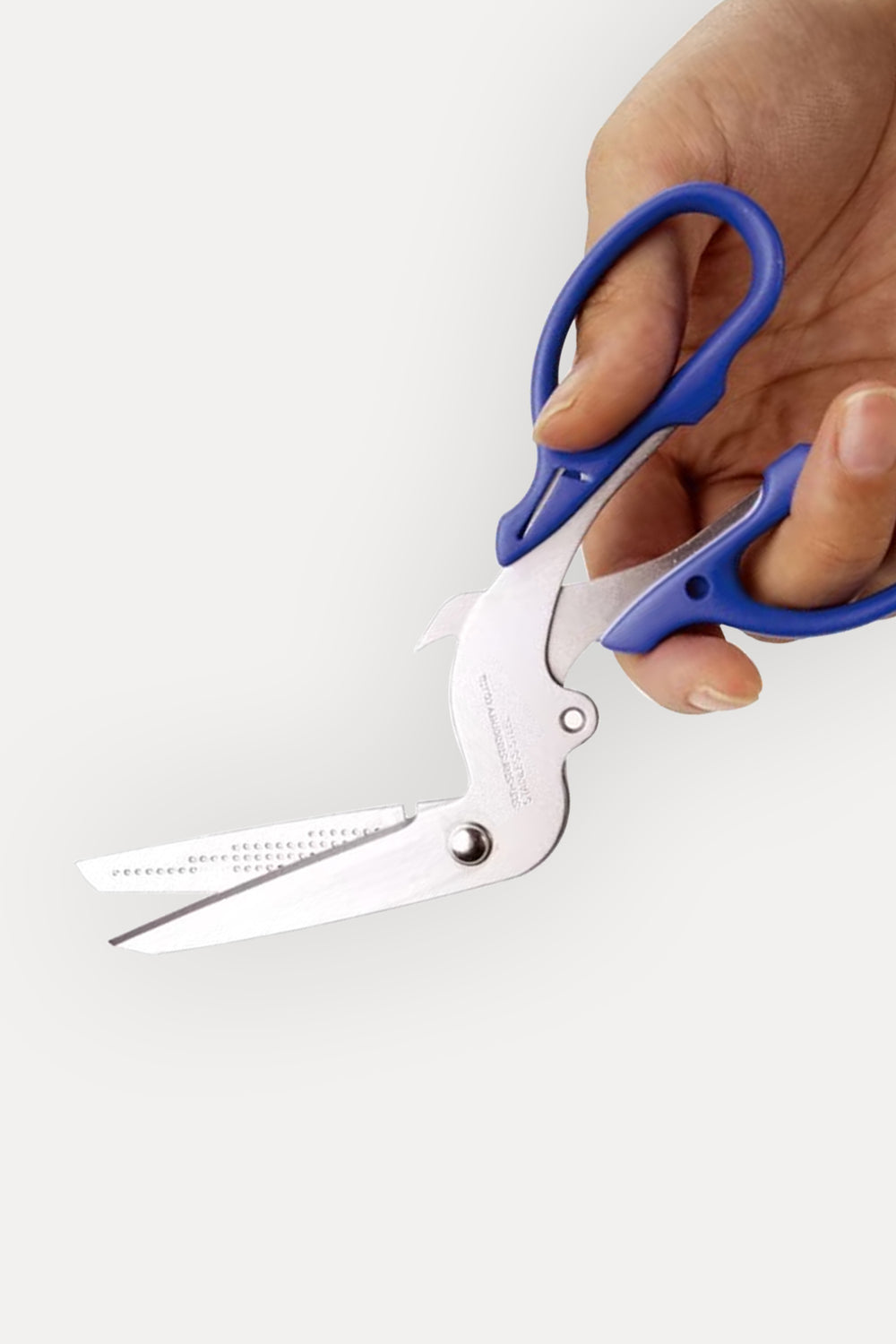 All Purpose Sorting Scissors